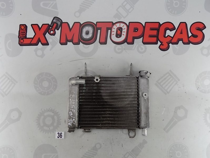 #69036 Radiador Água Honda CB 125 F 15-16 full