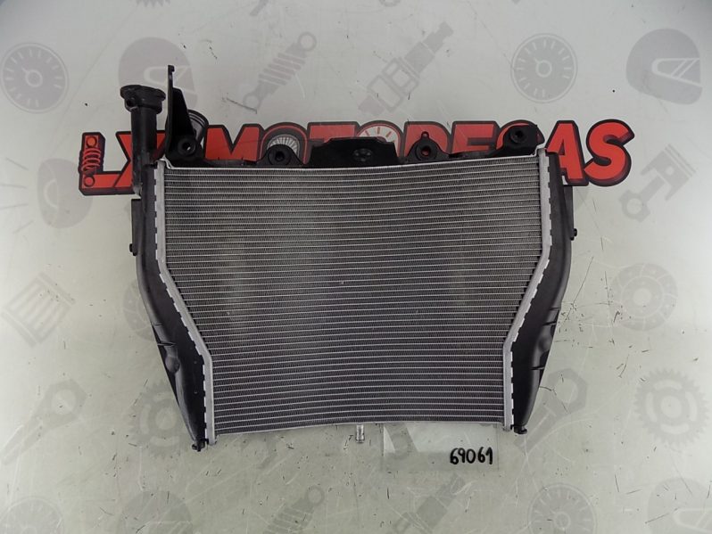 #69061 Radiador Água BMW S 1000 RR full